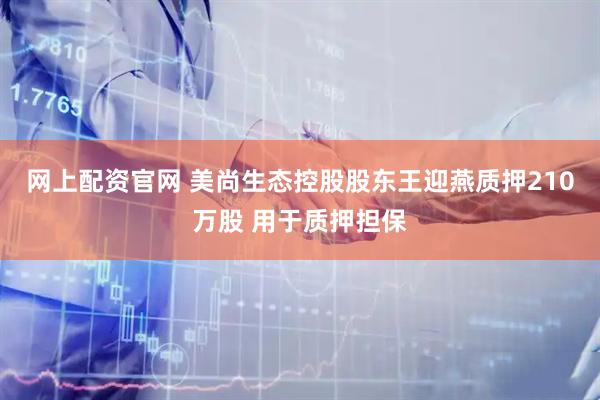 网上配资官网 美尚生态控股股东王迎燕质押210万股 用于质押担保
