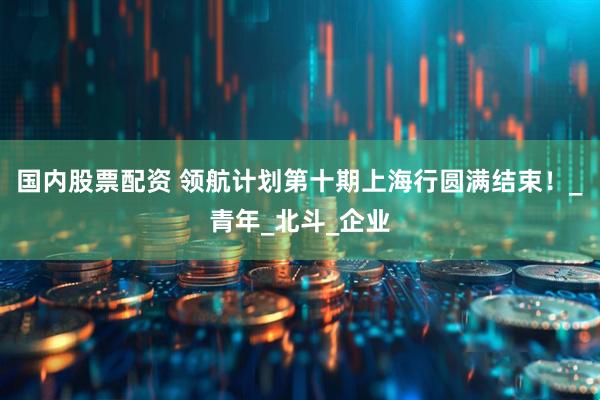 国内股票配资 领航计划第十期上海行圆满结束！_青年_北斗_企业